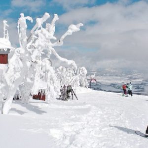 Skier au Japon