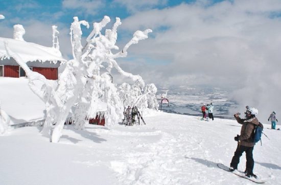 Skier au Japon